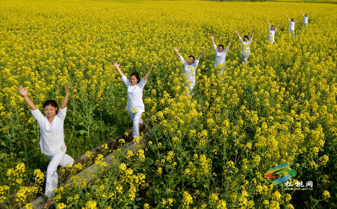 踏春賞花學(xué)瑜伽