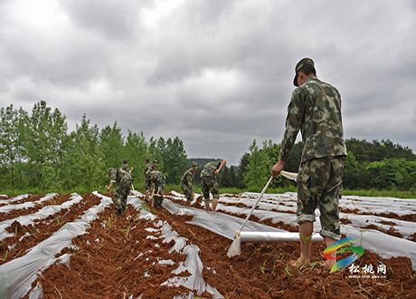 松桃“接地氣”的幫扶