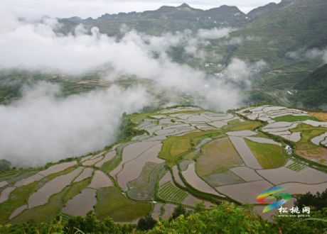 盤石：響水梯田美景如畫