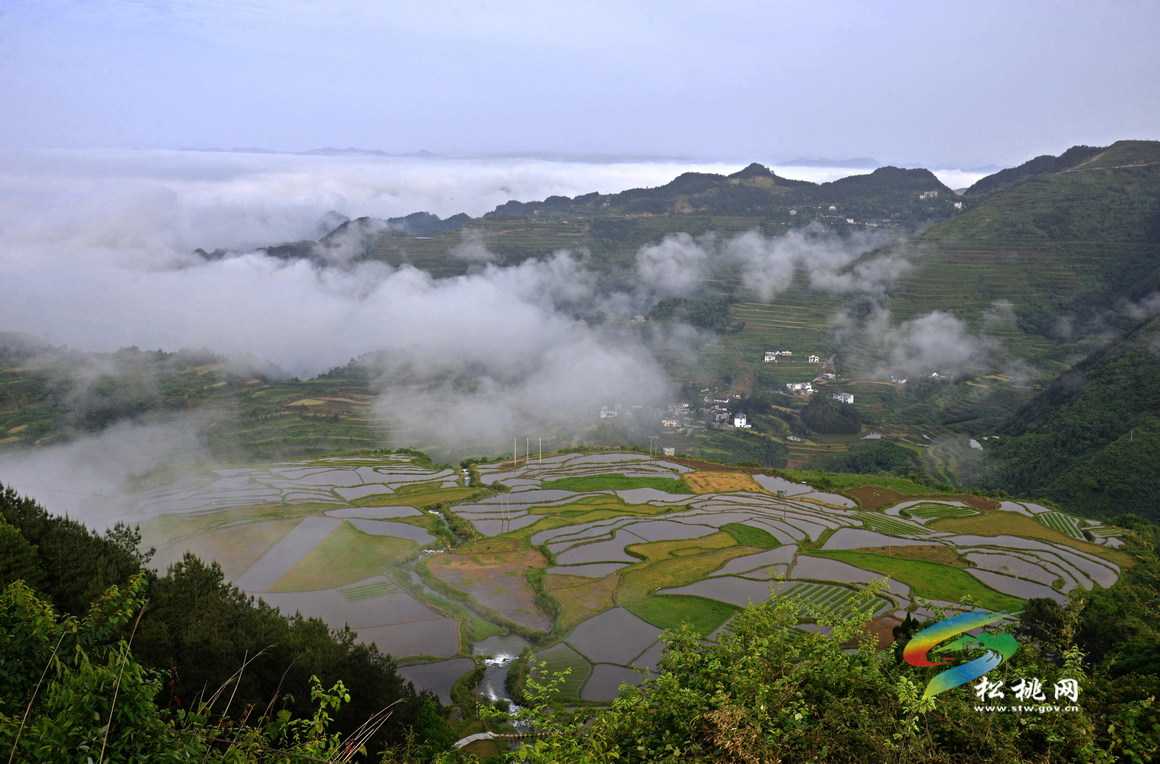 盤石：響水梯田美景如畫