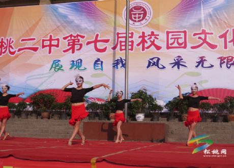 青春風(fēng)采，魅力二中