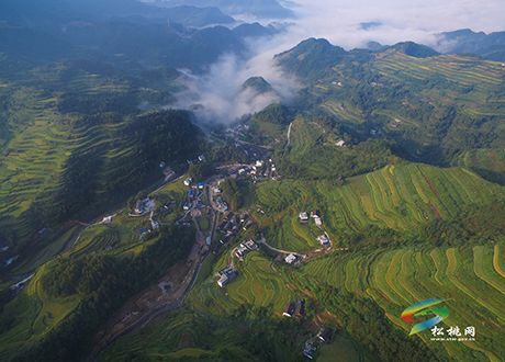 行攝苗鄉(xiāng) 航拍響水梯田