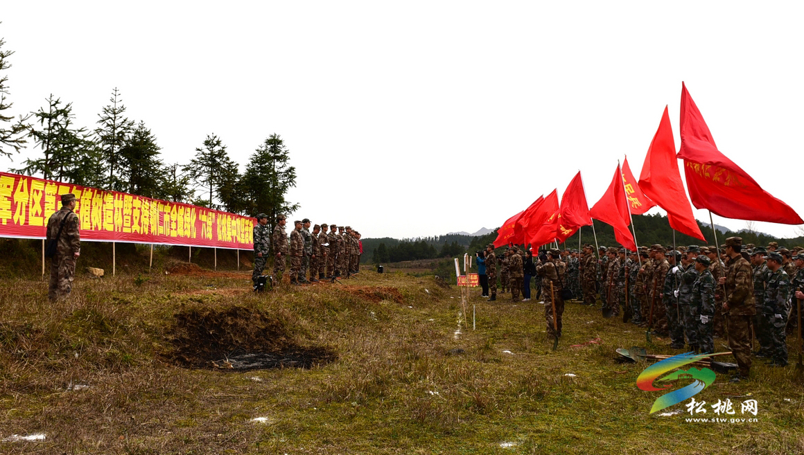 銅仁軍分區(qū)植樹造林攻堅行動活動花絮