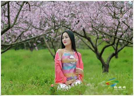 人面不知何處去,桃花依舊笑春風(fēng)