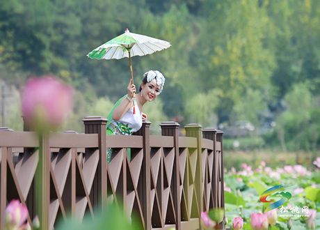 游馬鞍·戲采荷