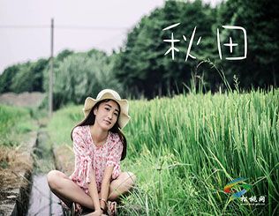 稻香