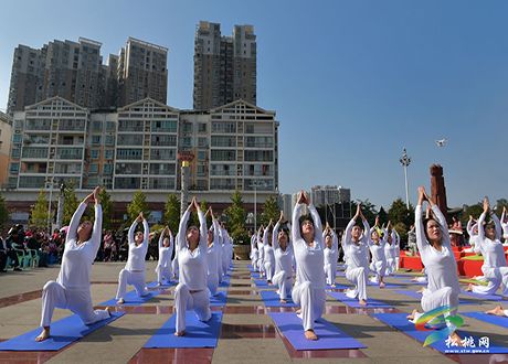 瑜伽協(xié)會(huì)授牌儀式掠影