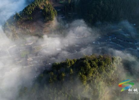 大灣苗寨的春日美景