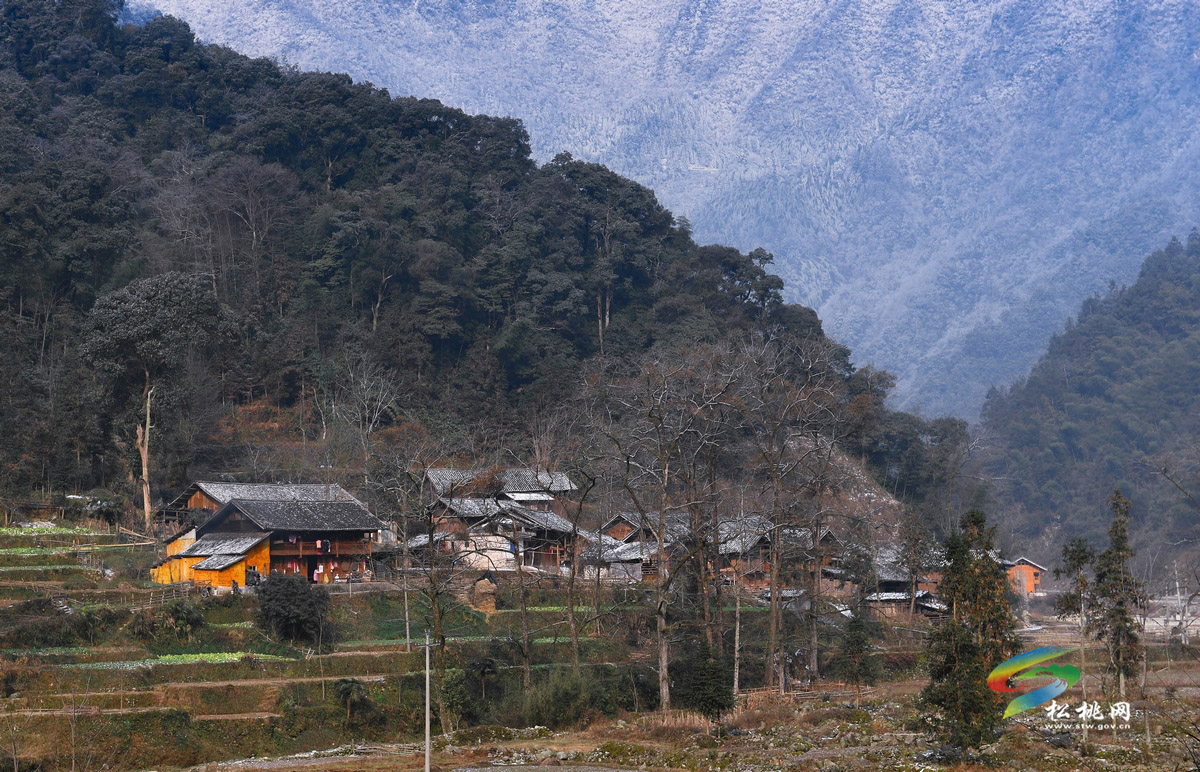 【行攝苗鄉(xiāng)】桃源盛景