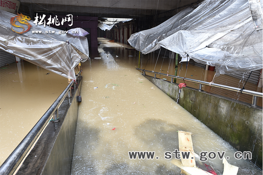 松桃遇30年來罕見暴雨洪災(zāi)