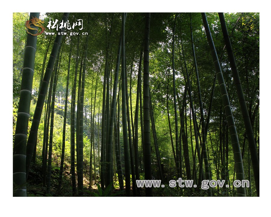愛在瑪瑙山——何天才風情風光攝影（四）