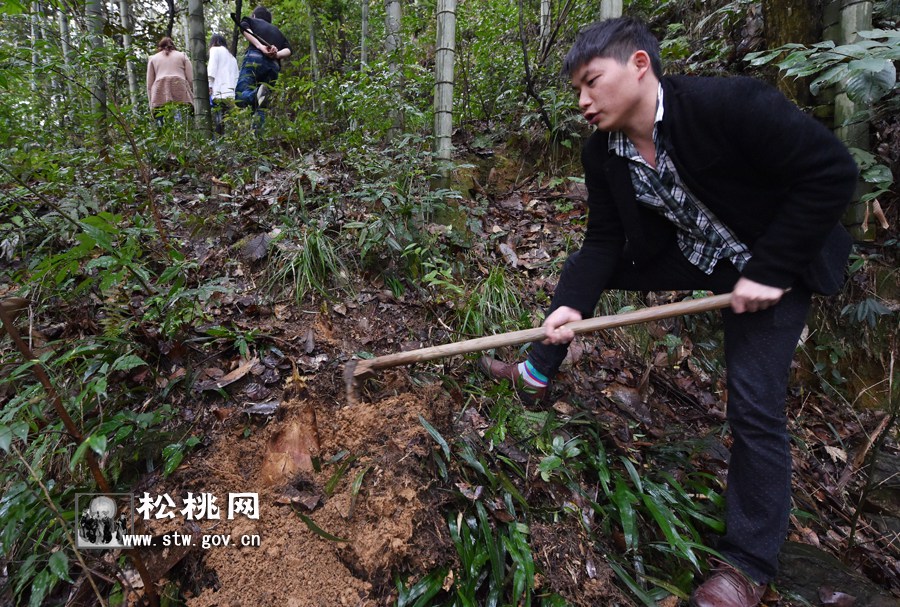 寫(xiě)一首關(guān)于春筍的詩(shī)