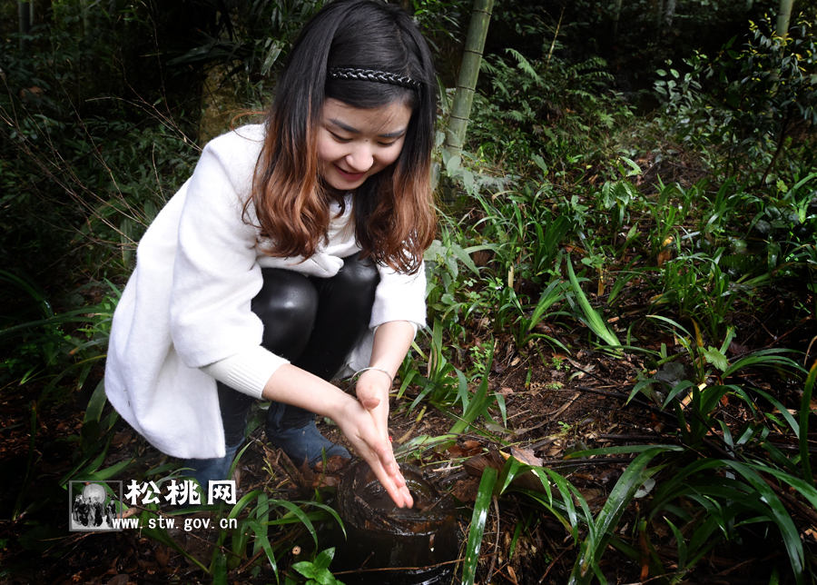 寫一首關(guān)于春筍的詩(shī)