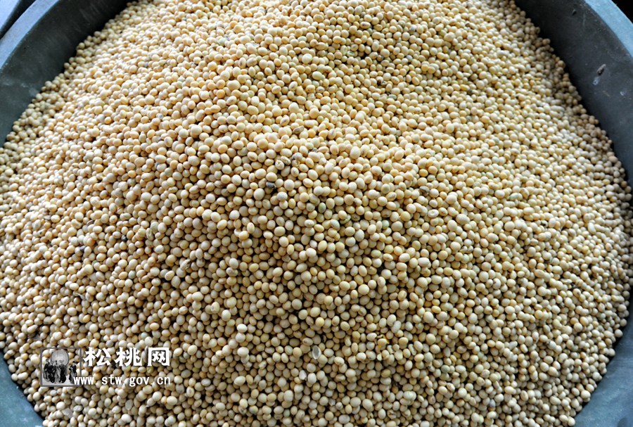 揭密松桃美食：灰豆腐制作全過程
