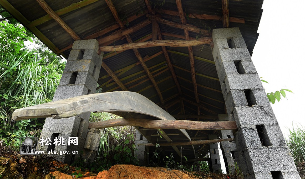 松桃落塘農(nóng)民：新“打”龍船鬧松江