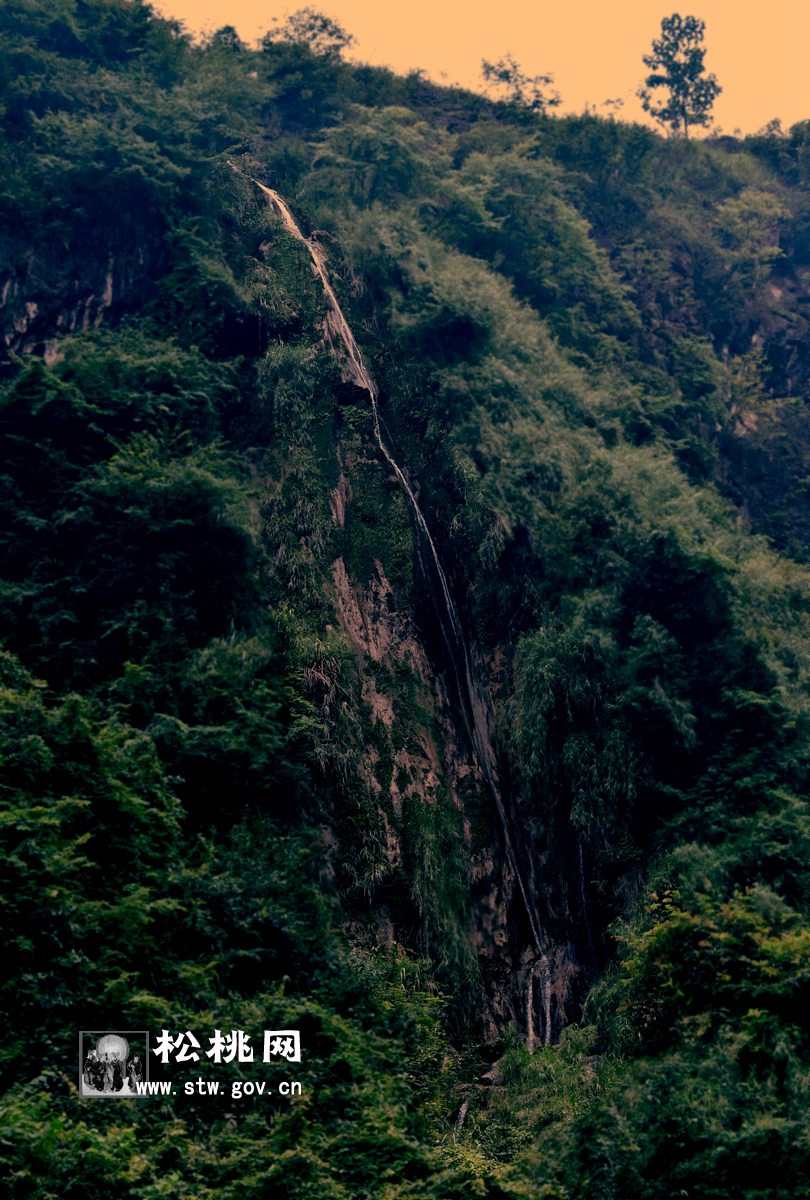 石花，守望湘黔邊區(qū)的嬌艷“西子”