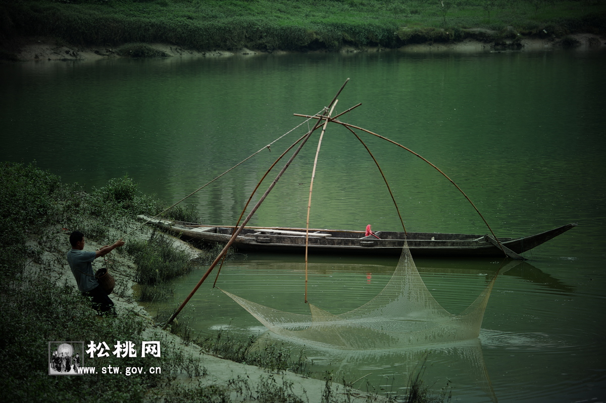 石花，守望湘黔邊區(qū)的嬌艷“西子”