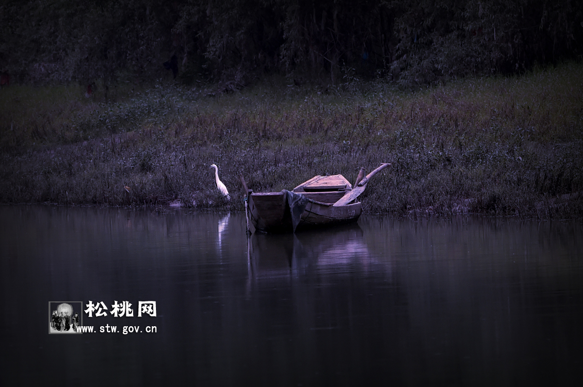 石花，守望湘黔邊區(qū)的嬌艷“西子”
