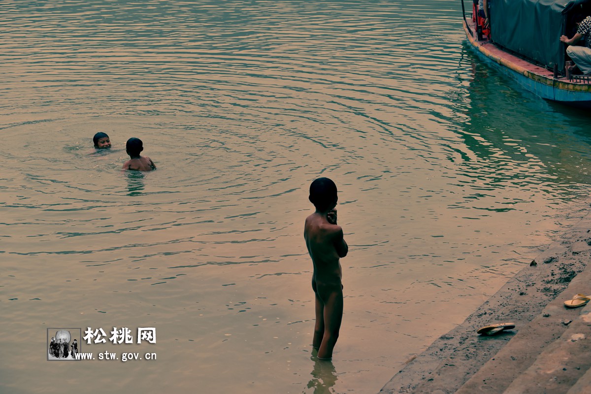 石花，守望湘黔邊區(qū)的嬌艷“西子”
