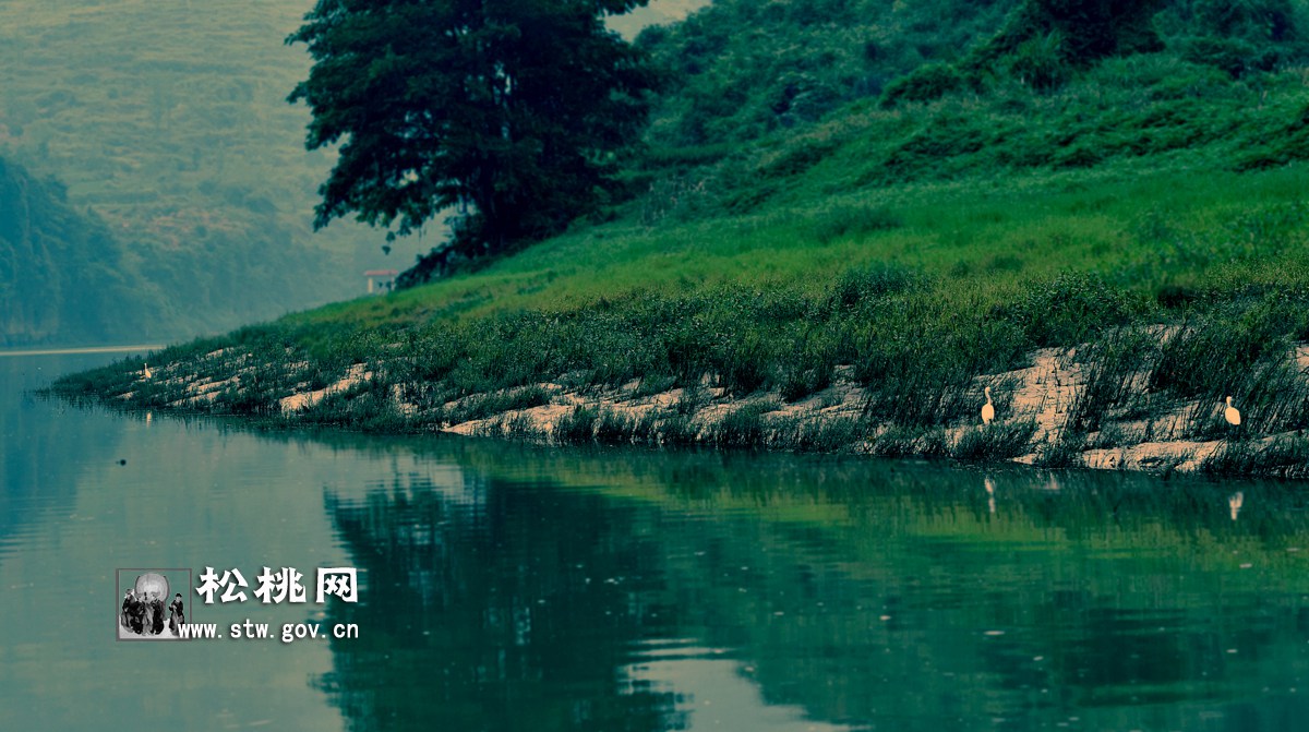 石花，守望湘黔邊區(qū)的嬌艷“西子”