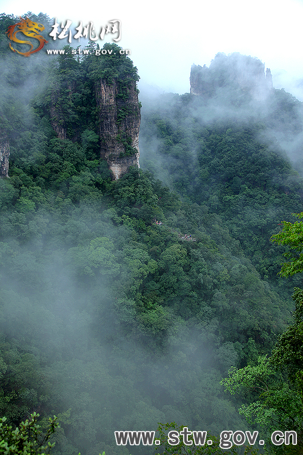 走進(jìn)世界遺產(chǎn)地　彰顯靈秀施秉