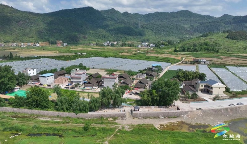 孟溪鎮(zhèn)寨陽村：特色農(nóng)家樂敲開鄉(xiāng)村振興“致富門”