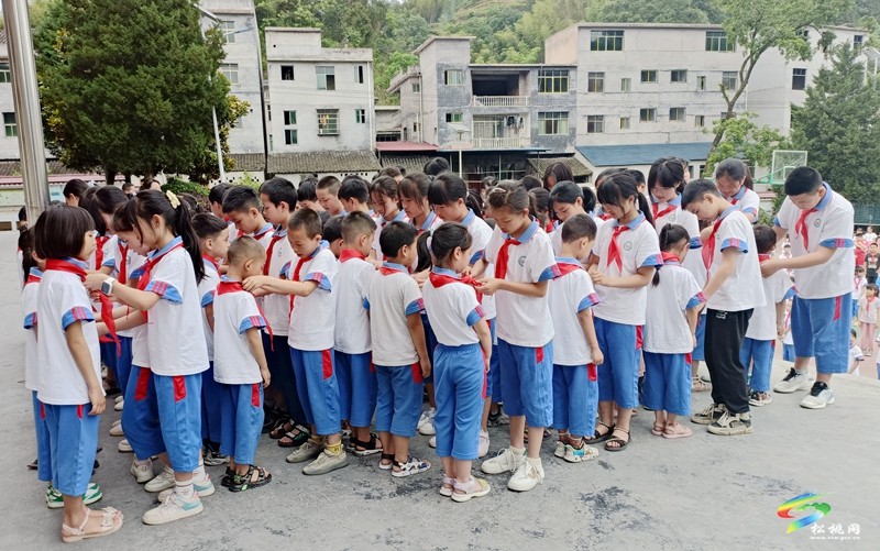 妙隘鄉(xiāng)完小舉行少先隊(duì)新隊(duì)員入隊(duì)宣誓儀式