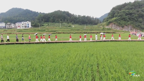 “中國苗族情人節(jié)六月六” 活動(dòng)緊鑼密鼓彩排中