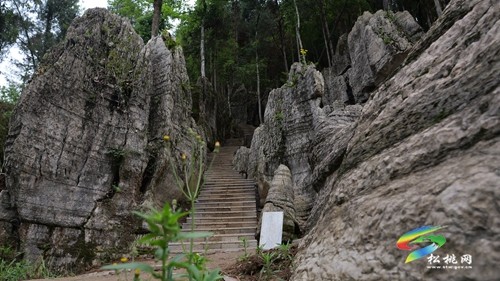 九大民間傳統(tǒng)活動(dòng)即將對(duì)決水韻·醉石灘