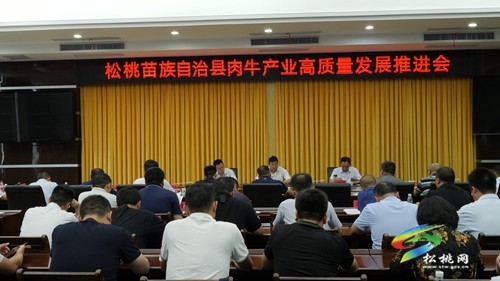 全縣肉牛產(chǎn)業(yè)高質(zhì)量發(fā)展推進會召開