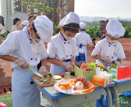 松桃舉行首屆中小學(xué)生勞動(dòng)技能大賽