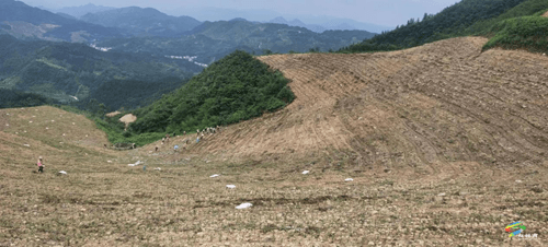突出“組團(tuán)式”幫扶，助推產(chǎn)業(yè)高質(zhì)量發(fā)展