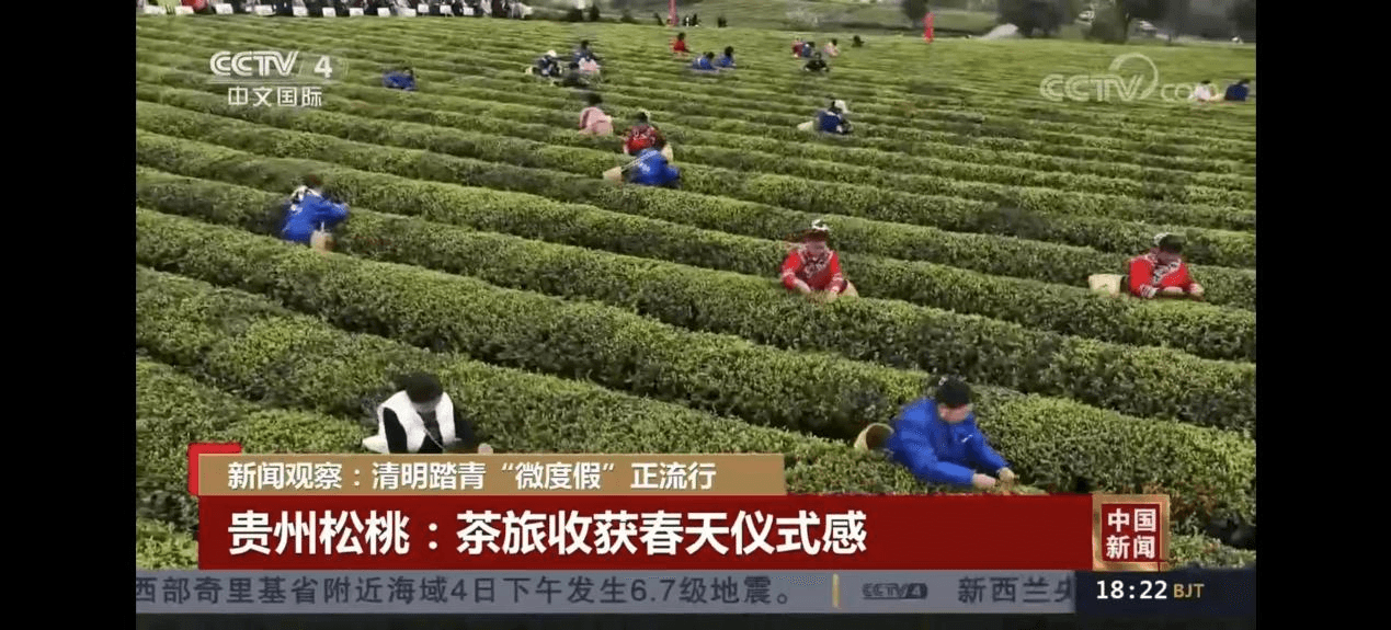 【外媒看松桃】松桃2023上半年外宣成績單來啦！