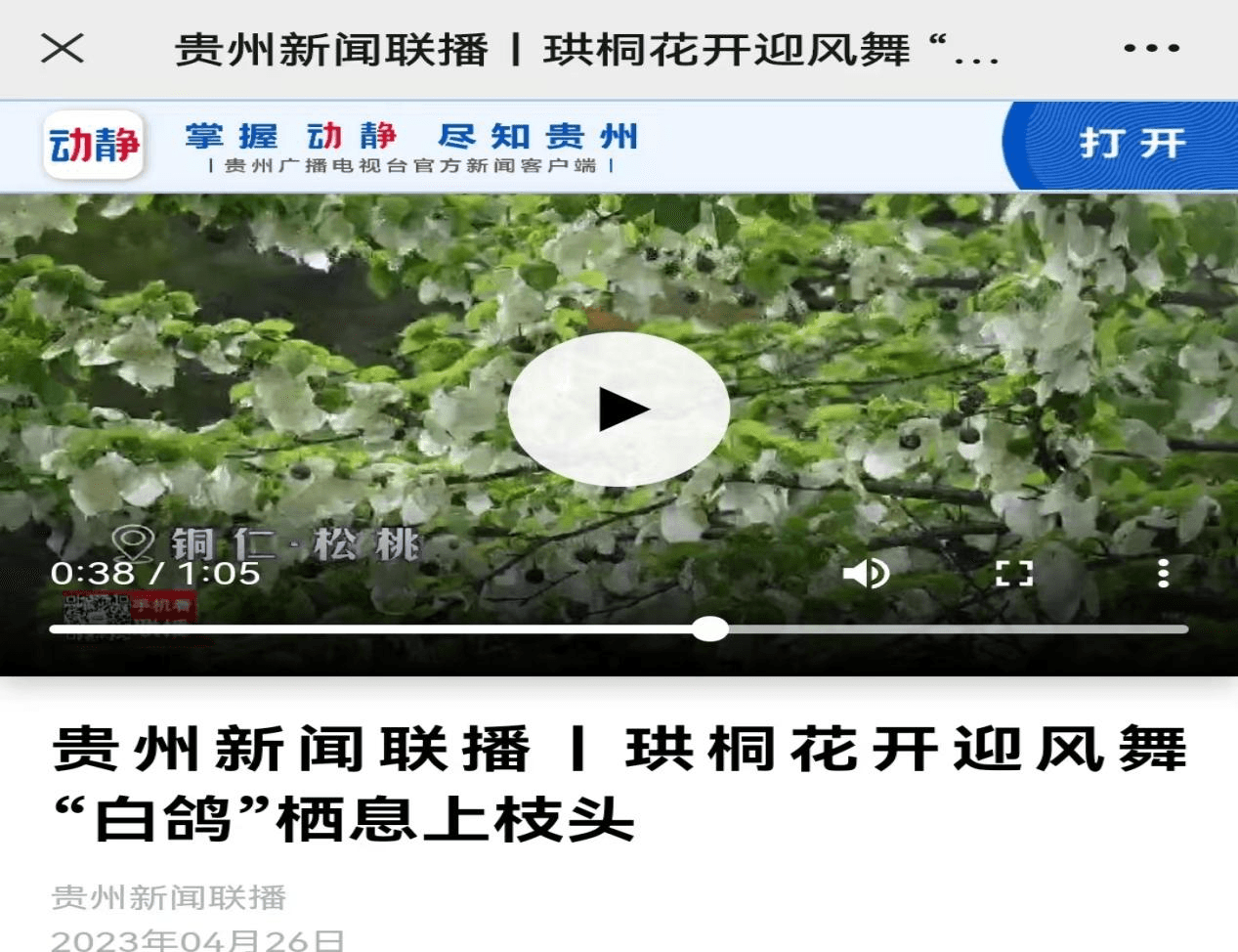 【外媒看松桃】松桃2023上半年外宣成績單來啦！