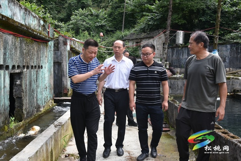 國家鄉(xiāng)村振興重點幫扶縣科技特派團(tuán)到我縣開展農(nóng)牧科技指導(dǎo)工作