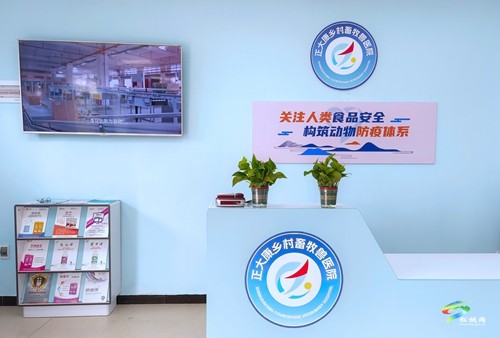 松桃：獸醫(yī)院送診下鄉(xiāng)，服務社會化助力鄉(xiāng)村振興