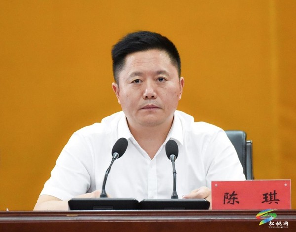 全縣平安建設工作推進會召開