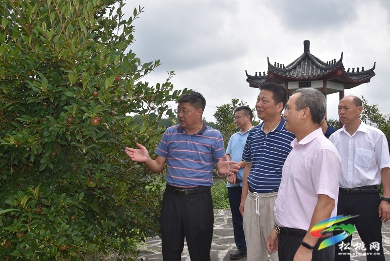 國家科技特派團(tuán)下鄉(xiāng)送技術(shù) 助力鄉(xiāng)村產(chǎn)業(yè)振興