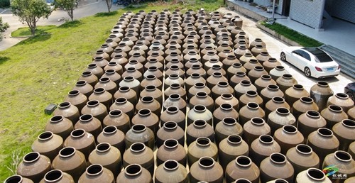 松桃:辣椒新品種測產(chǎn)超2000斤