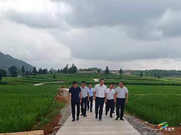 市委常委、常務(wù)副市長(zhǎng)董亮一行來(lái)松調(diào)研