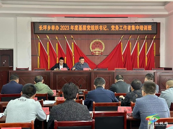 長(zhǎng)坪鄉(xiāng)：念好“六字訣”提升黨建工作質(zhì)量