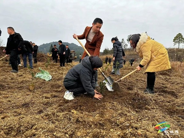 長(zhǎng)坪鄉(xiāng)：念好“六字訣”提升黨建工作質(zhì)量