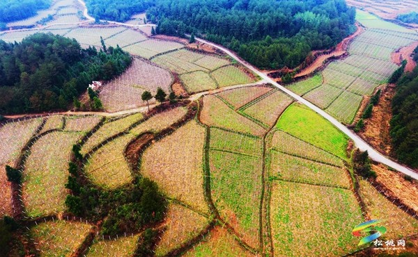長(zhǎng)坪鄉(xiāng)：念好“六字訣”提升黨建工作質(zhì)量