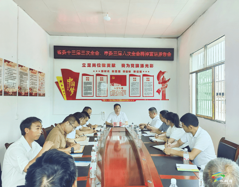 陳琪到長興堡鎮(zhèn)宣講省委十三屆三次全會和市委三屆六次全會精神