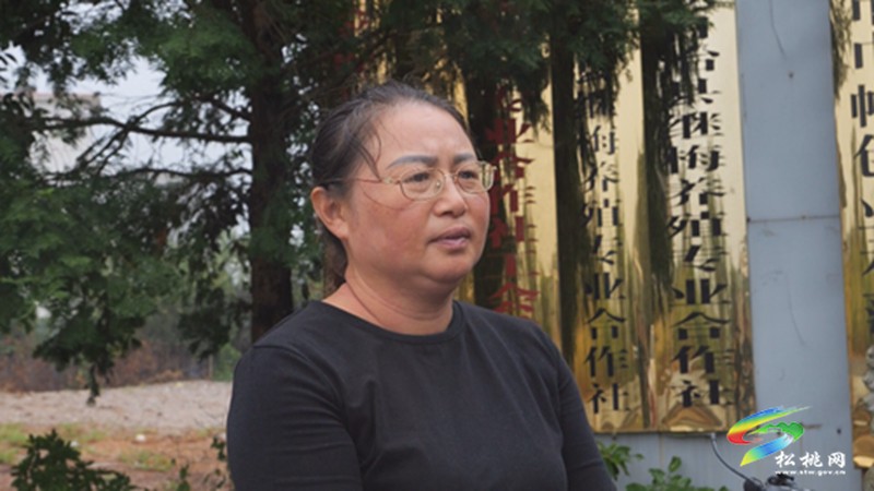 大興街道：自動化蛋雞養(yǎng)殖 孵出群眾“致富蛋”
