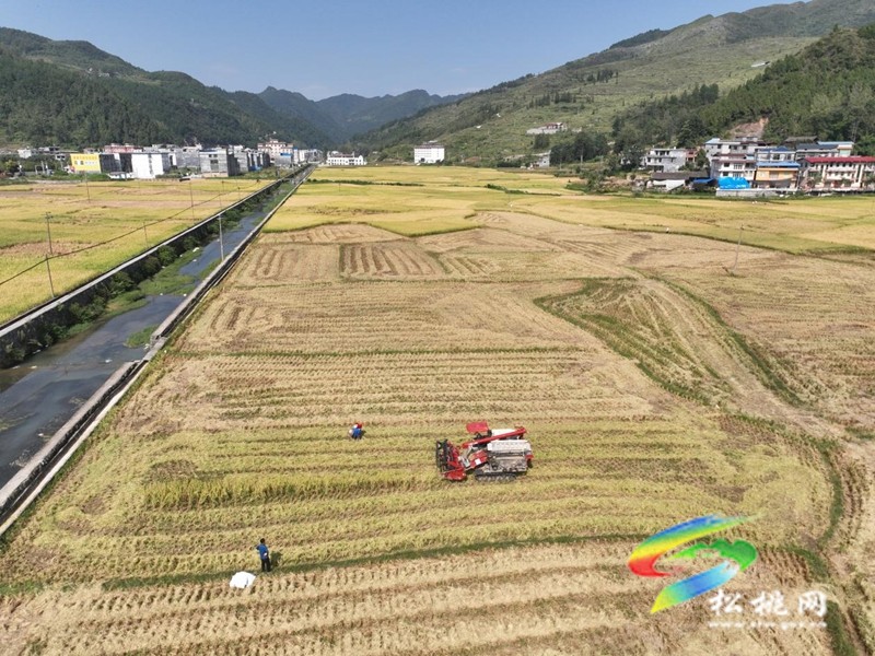 甘龍鎮(zhèn)：農(nóng)機奏響“豐收曲” 沃野田疇煥新景