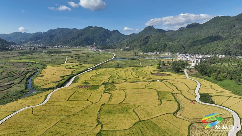 松桃：機械化收割 譜寫豐收“大樂章”