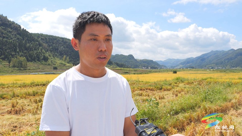 松桃：機械化收割 譜寫豐收“大樂章”