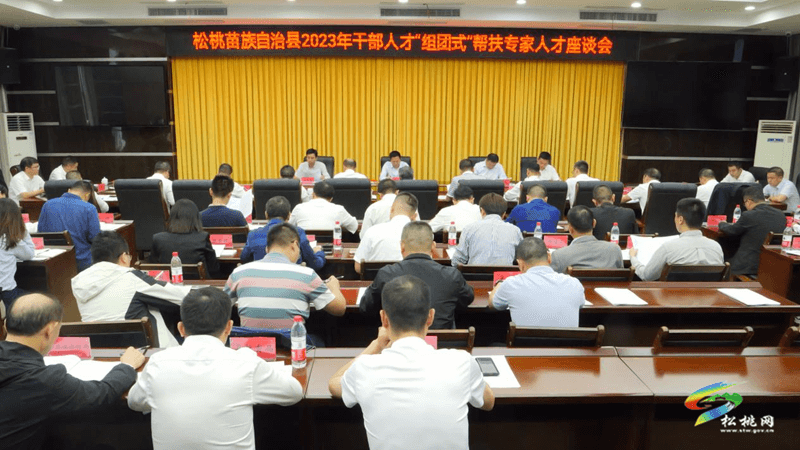 全縣2023年干部人才“組團式”幫扶專家人才 座談會召開