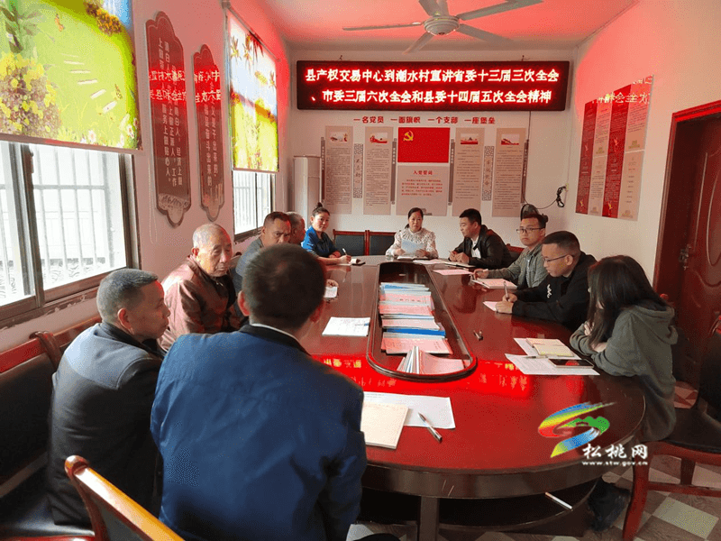 縣產(chǎn)權交易中心到木樹鎮(zhèn)潮水村開展省委十三屆三次全會、市委三屆六次全會、縣委十四屆五次全會精神宣講